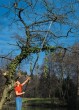 FISKARS Teleskop-Schneidgiraffe 2,20-4,15m (115560)