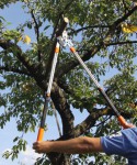 Gartenpaul Teleskop Astschere  Amboss 