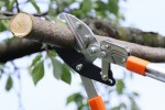 Gartenpaul Teleskop Astschere  Amboss 